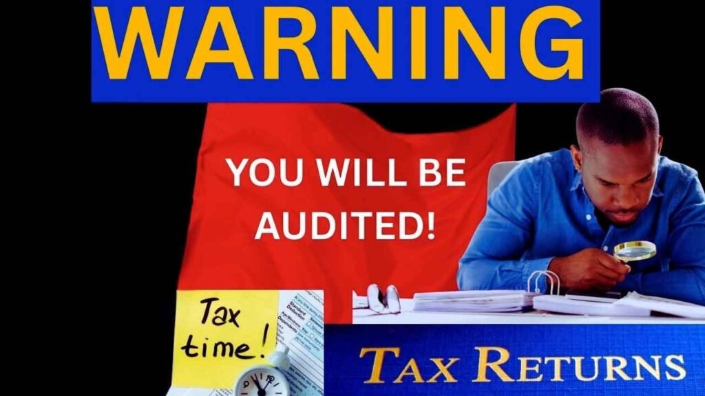 IRS REVEALS TOP AUDIT RED FLAGS